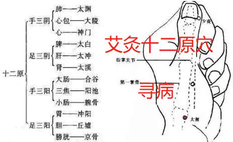 抽穴|求問 抽穴是什麼意思 還有法？